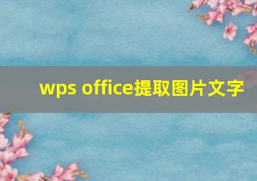 wps office提取图片文字